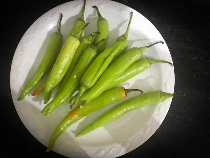 Slit green chilies on white plate