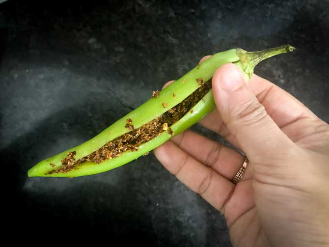 Green chilli stuffed with Achari masala