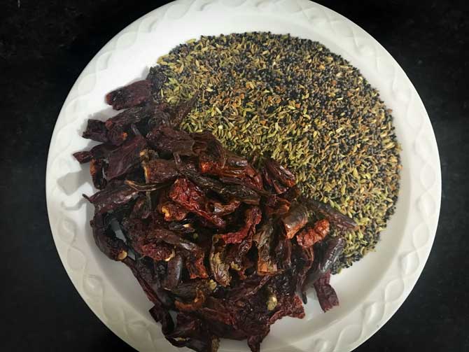 Roasted dried red chilies and seeds on white plate