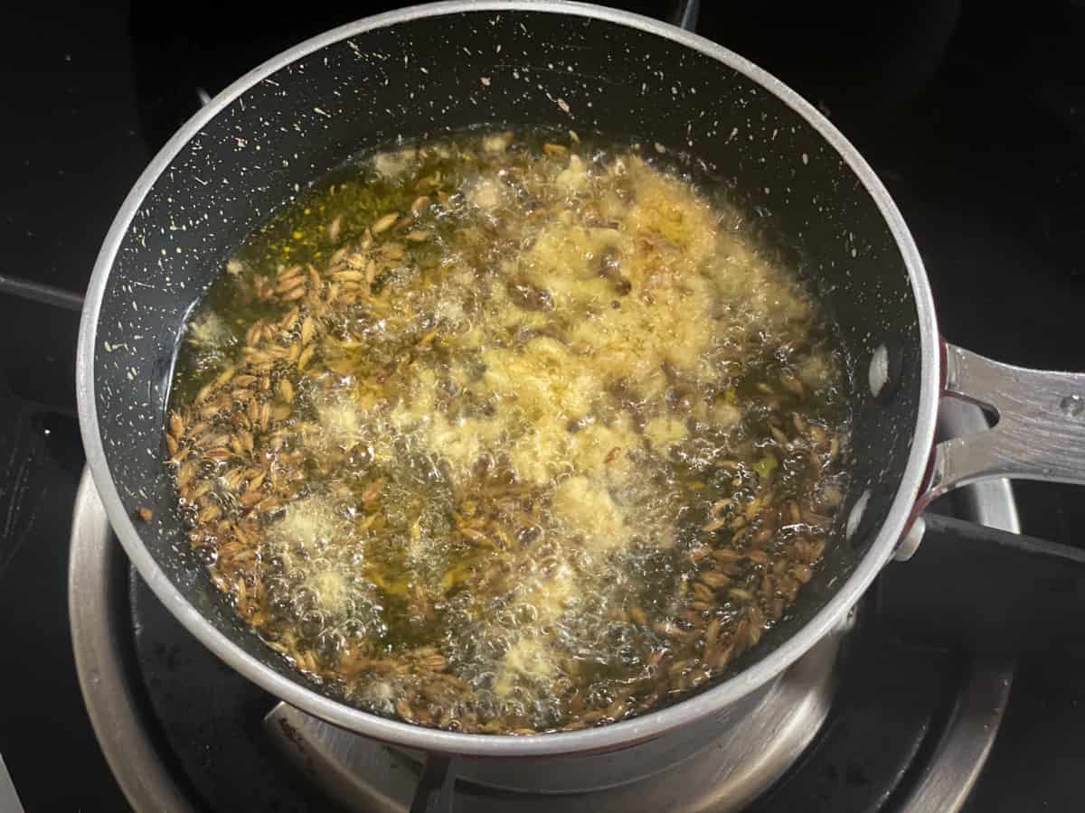 Mustard seeds, cumin and ginger frying to the hot ghee in small pan.