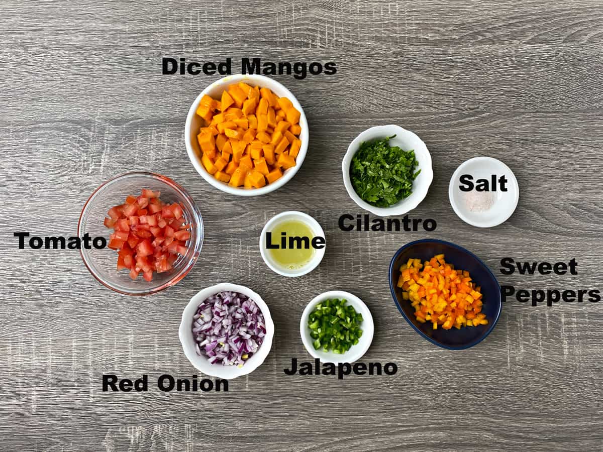 ingredients for making homemade mango salsa laid out on a grey table