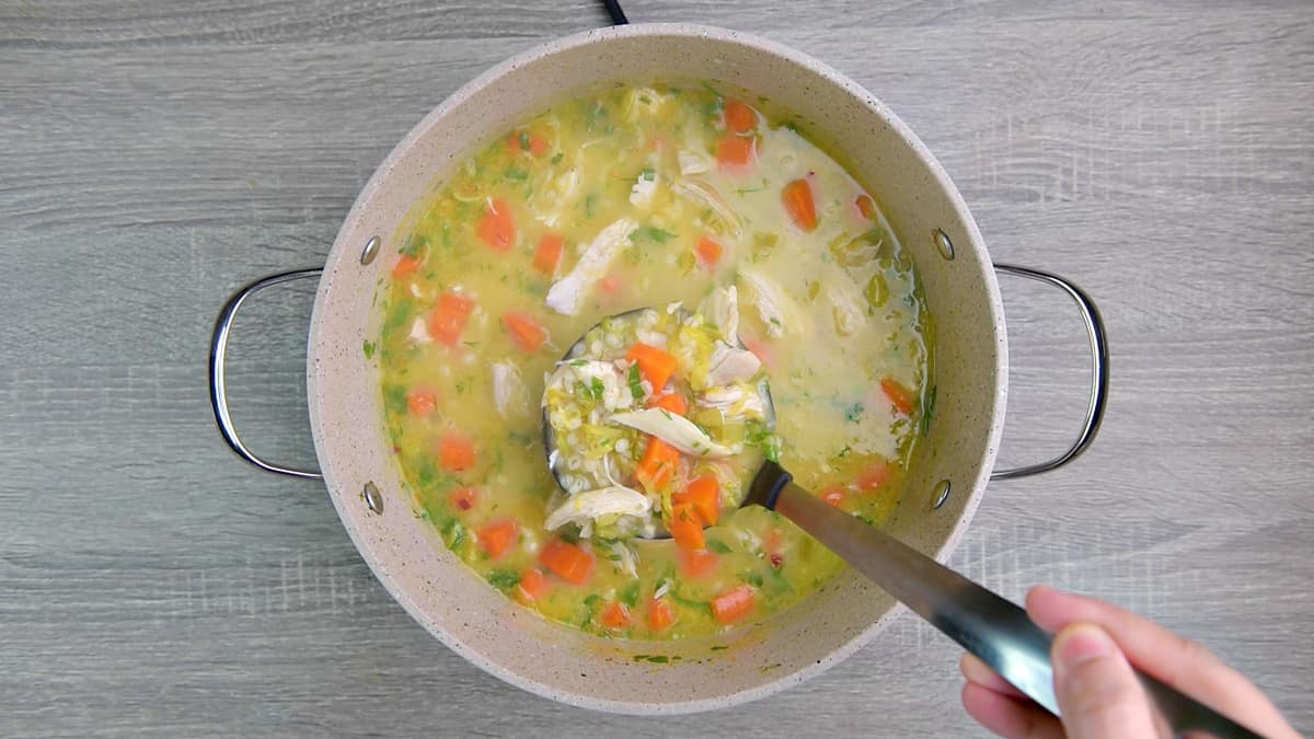 ladle spoon in pot with vegetable and chicken barley soup.