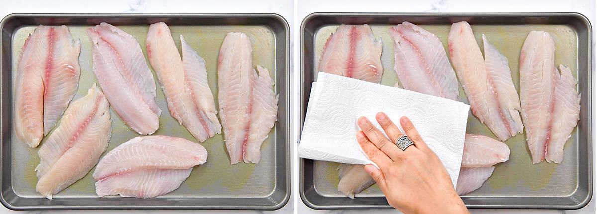 6 raw tilapia fillets on a baking sheet. Hand with paper towel blots them dry.