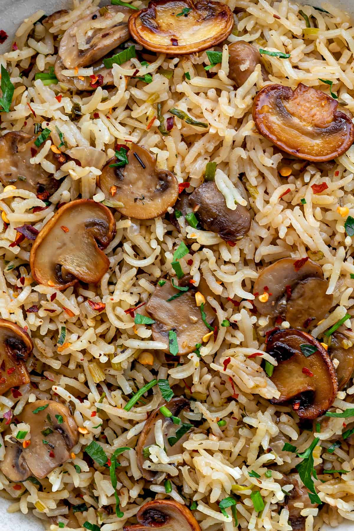 Close view of cooked mushroom rice.